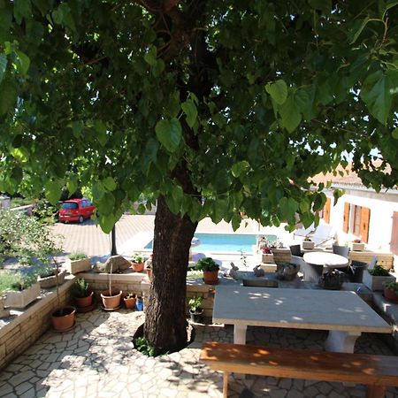 Apartments Vesna With Pool - New! Sveti Lovreč Pazenatički المظهر الخارجي الصورة