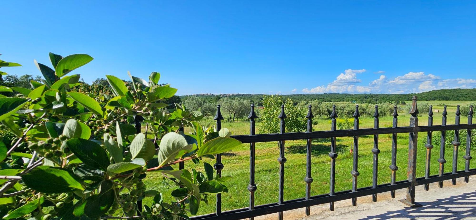 Apartments Vesna With Pool - New! Sveti Lovreč Pazenatički المظهر الخارجي الصورة